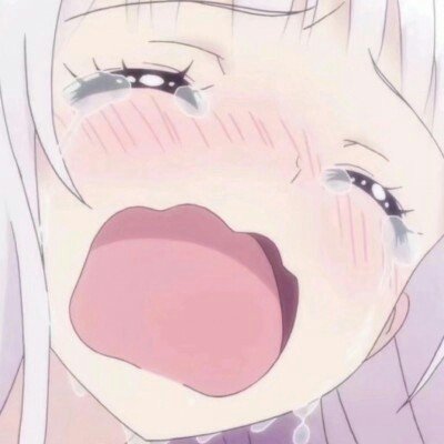 大熊猫家美大崽去世